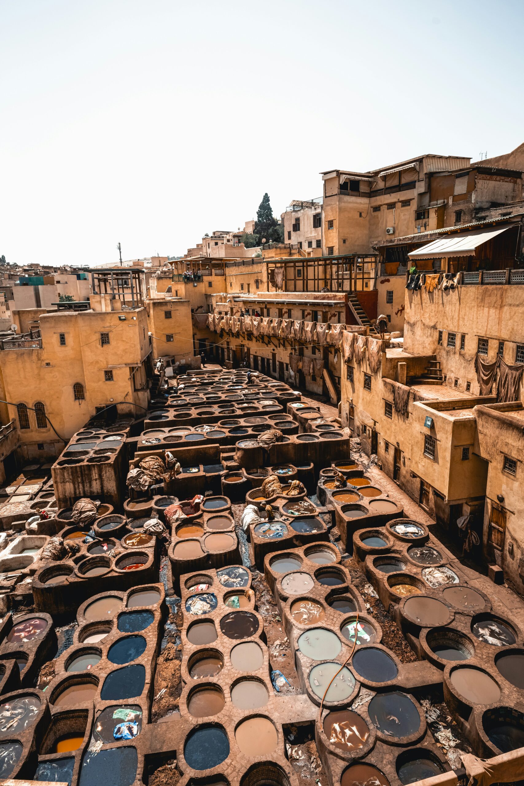 Morocco Sahara Desert Tours From Marrakech To Fes